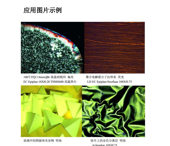 正置顯微鏡02.jpg